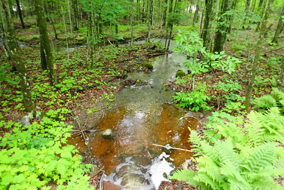The streams and creeks coming into Lucerne are flowing hard. The lake level is going up.