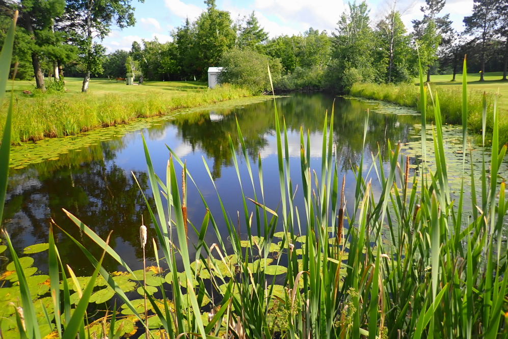 Water hazards at the NCC golf course are also very full.