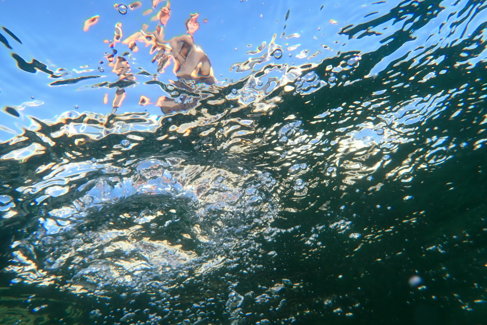 With the lake temperature floating around in the mid 60s°F all week, swimming and diving were not the unspeakable horrors they normally are during peak color. In addition to refreshing, the lake water was clear as crystal.