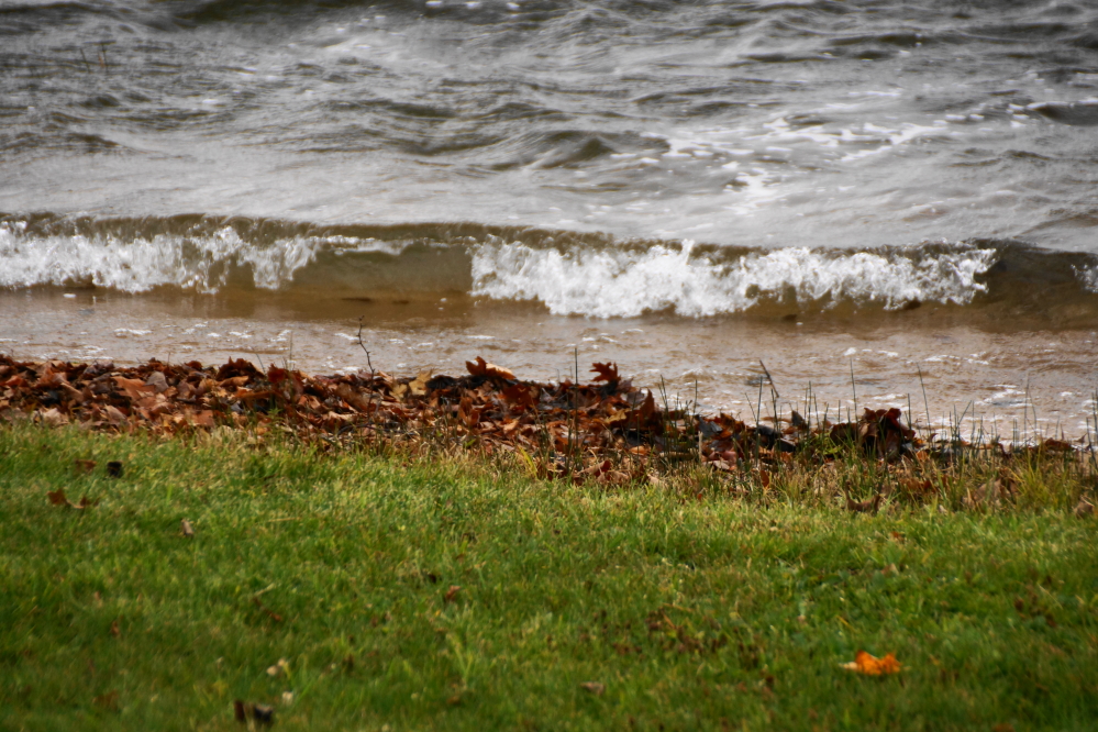 After the shore is cleared, a strong breeze from the south will deposit a thick coating of leaves back on the beaches. Eventually the trees should run out of leaves. At least that's what we keep telling ourselves.