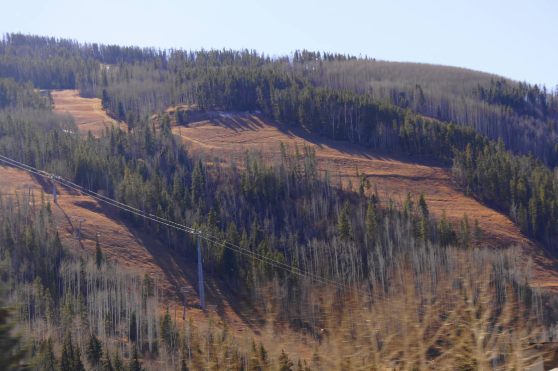 Some hills chose not to make snow. Their skiers were not so frolicy.