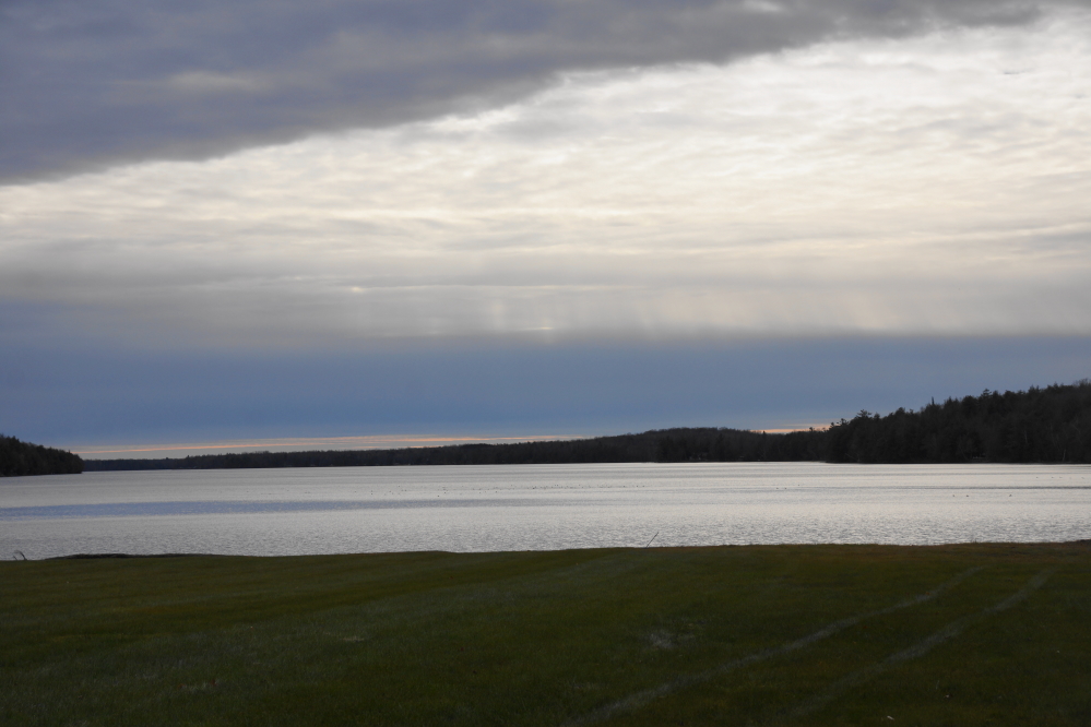 The lake was calm and ice-free all weekend. There were also some birds.