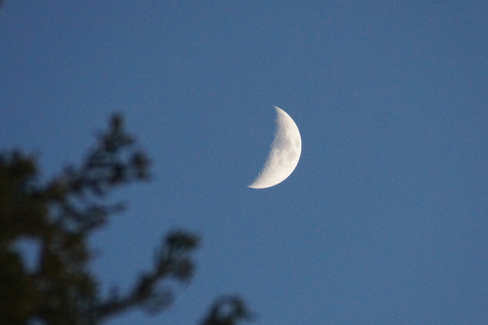 While the nights were cold, they were increasingly well lit by a clear sky and waxing moon.