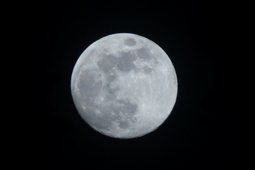 Many of last week's nights had sub-zero cold, but they were increasingly lit by a gibbous moon.