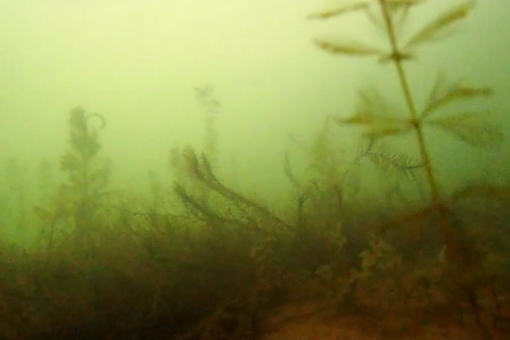 Lake Lucerne