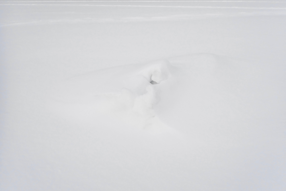 The northern fort passed one step further to "Lump".