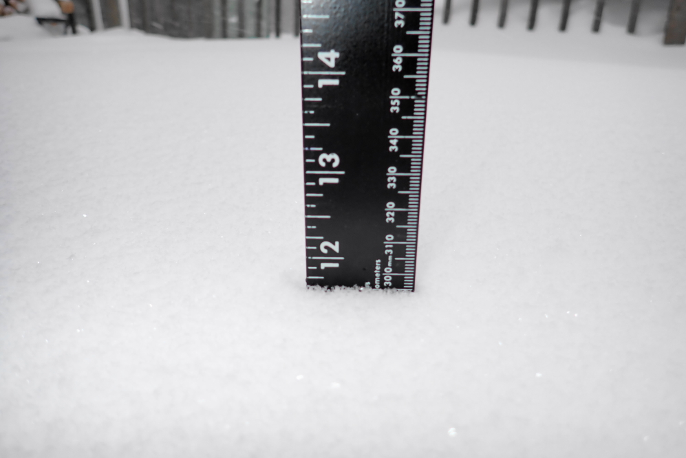 Saturday passed with little un-dead winter events. It would seem it was just toying with the lake area. By late Sunday morning, we had another foot on the ground and it was still snowing. Hard.