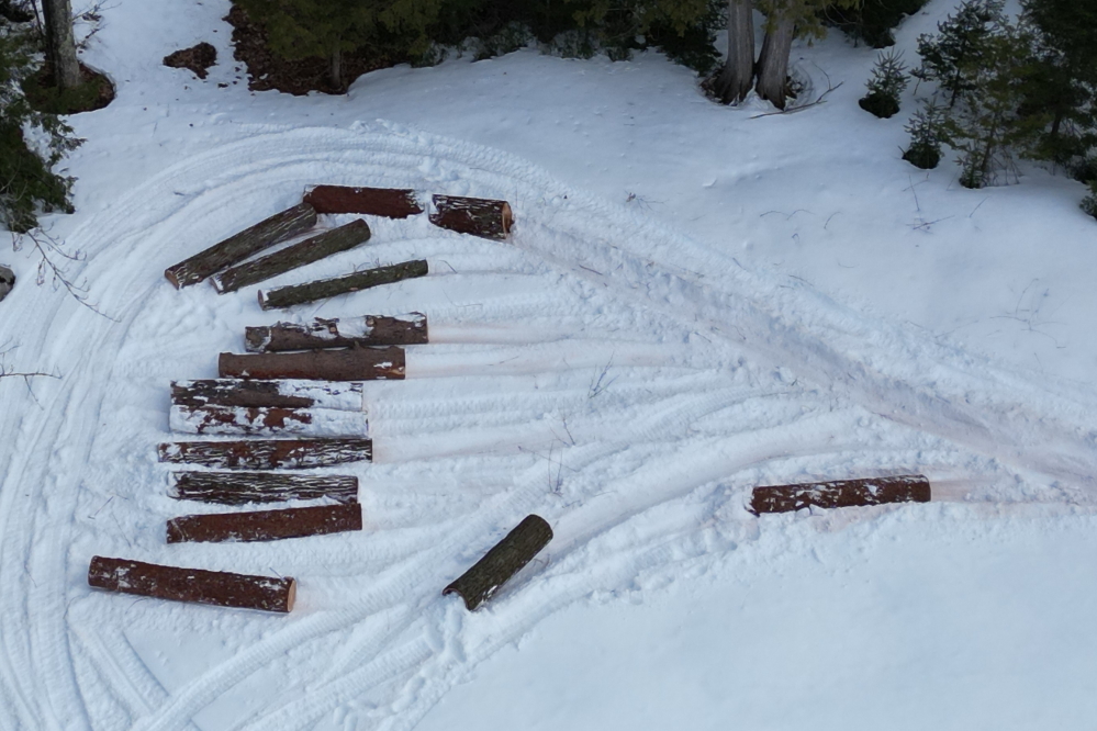 The ride was eventually shut down. The logs will be repurposed into something else. Maybe some sort of a life altering/threating giant Jenga game that would include sledge hammers and a blatant disregard for life.