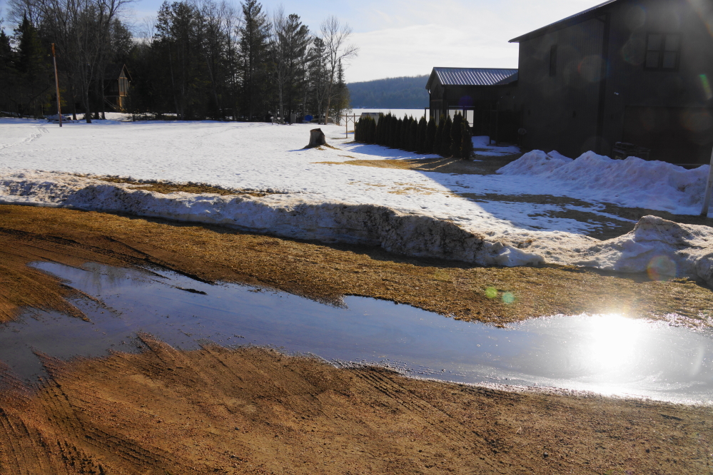 Around mid-week, thawing produced some impressive driveway puddles.