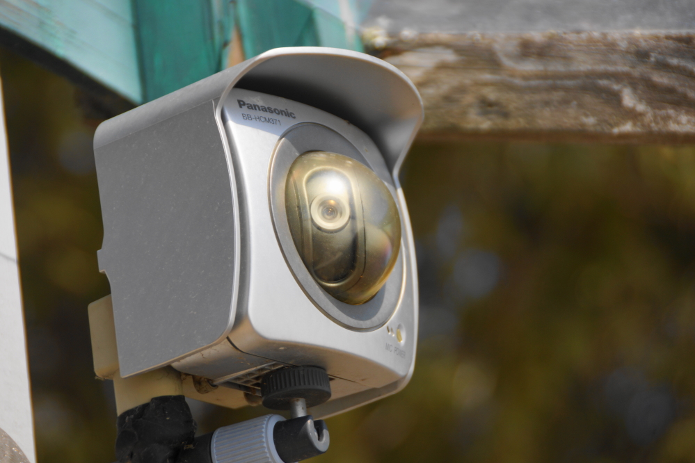 Shout out to the knottlane webcam that has survived another year. We'll replace it someday, but not today.