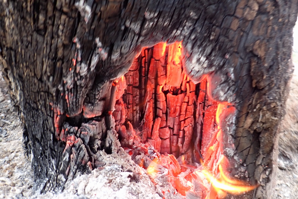 It looked like a little wooden kiln or some sort of Keebler tragedy.