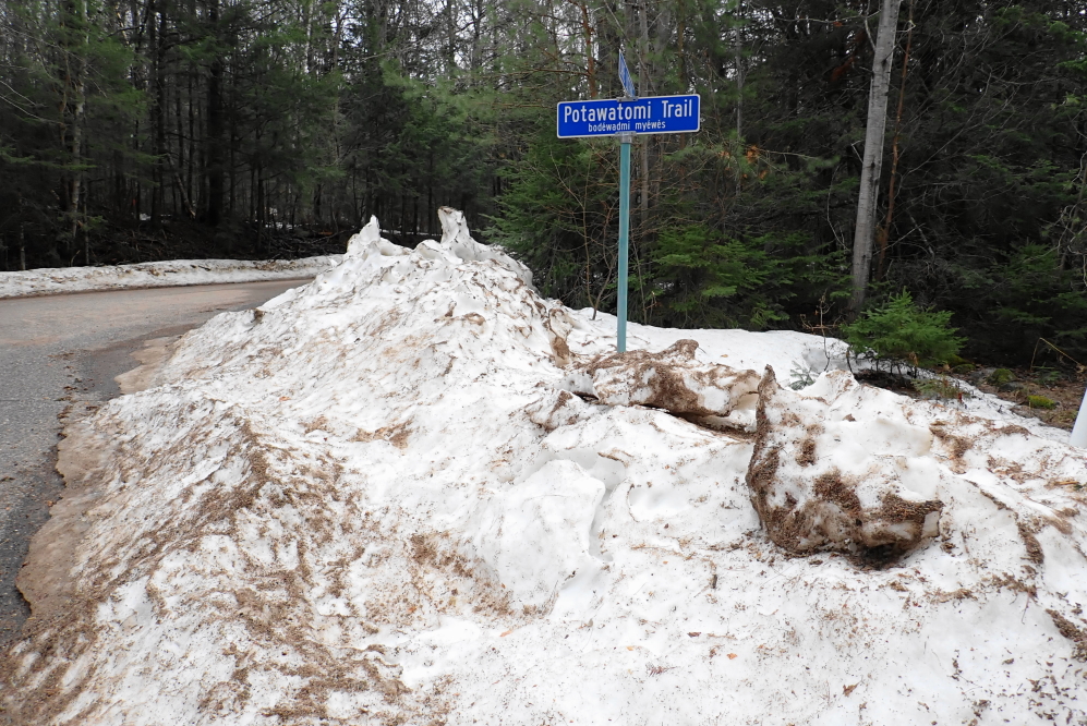 There was a bit of hard, crusty snow around, too.