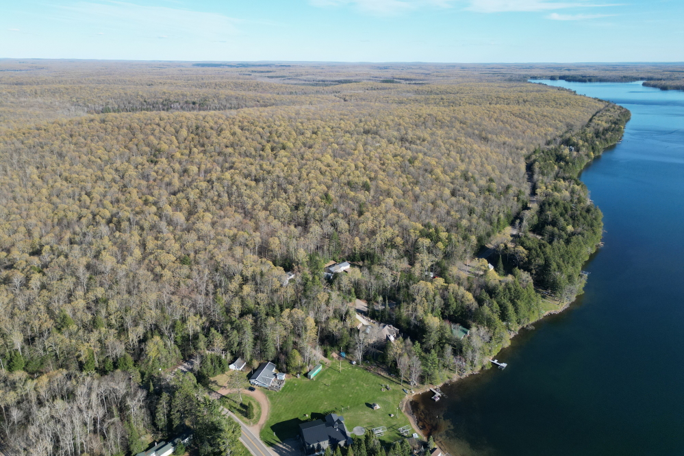 At the start of the week, the greening of the hills around the lake seemed to pause. In addition to cooler, it's been dry for a time. This may have been the cause for this arresting of the green.