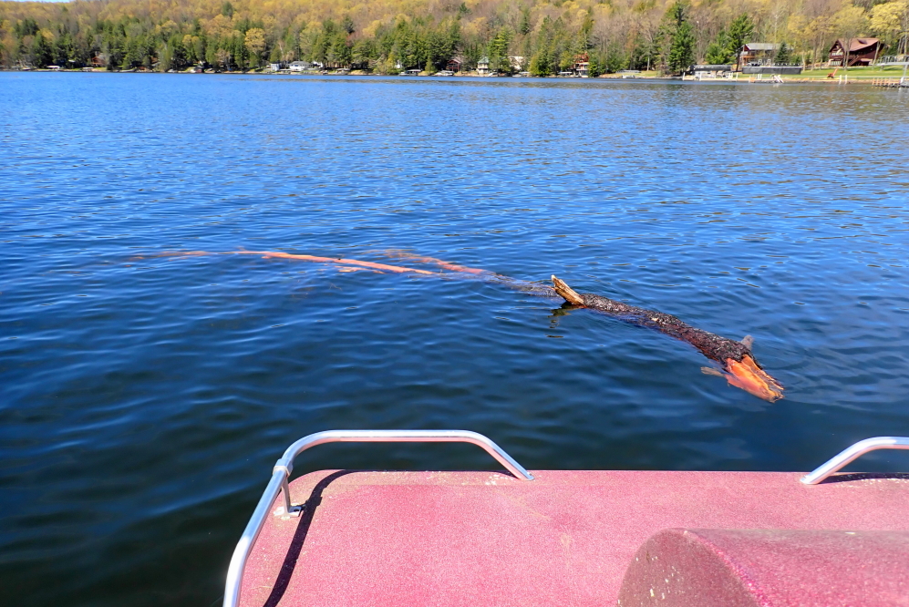 There's been quite a few branches washing up on the beaches this spring. One of the larger ones got hung up before reaching the beach and required a team to pull it from the ski course.