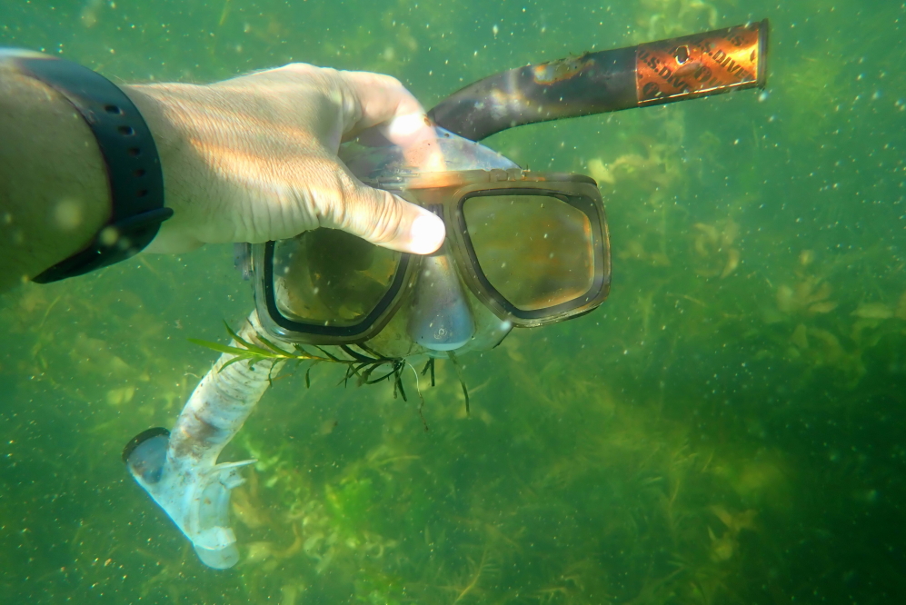 While escaping the heat under the lake we found a dive mask (diver not included) that was lost last year during a Eurasian Milfoil picking. The item was returned and should probably be cleaned before using.