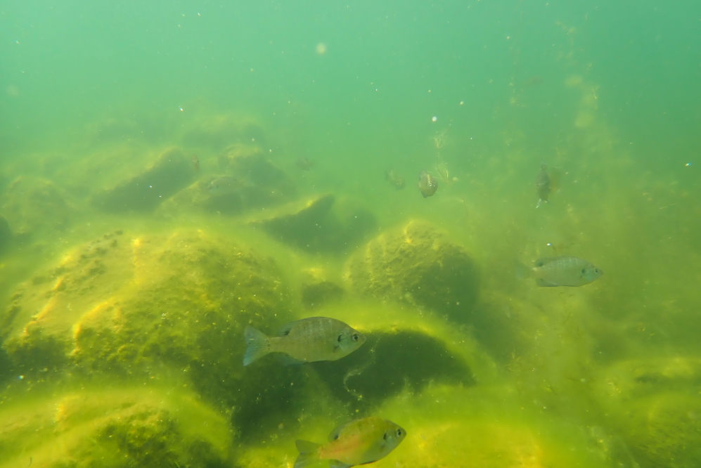 Lake Lucerne
