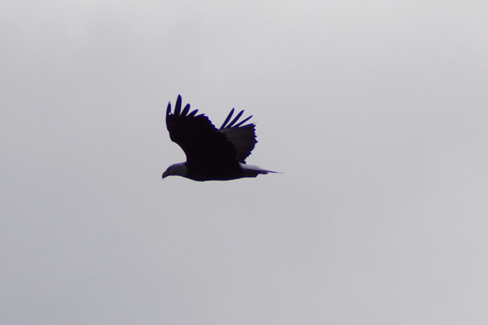 We got there just in time for the flyby.