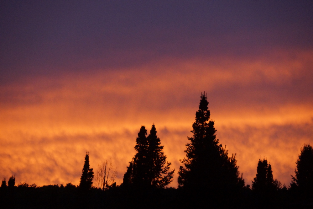 Sunsets were varied. Some were quite colorful.