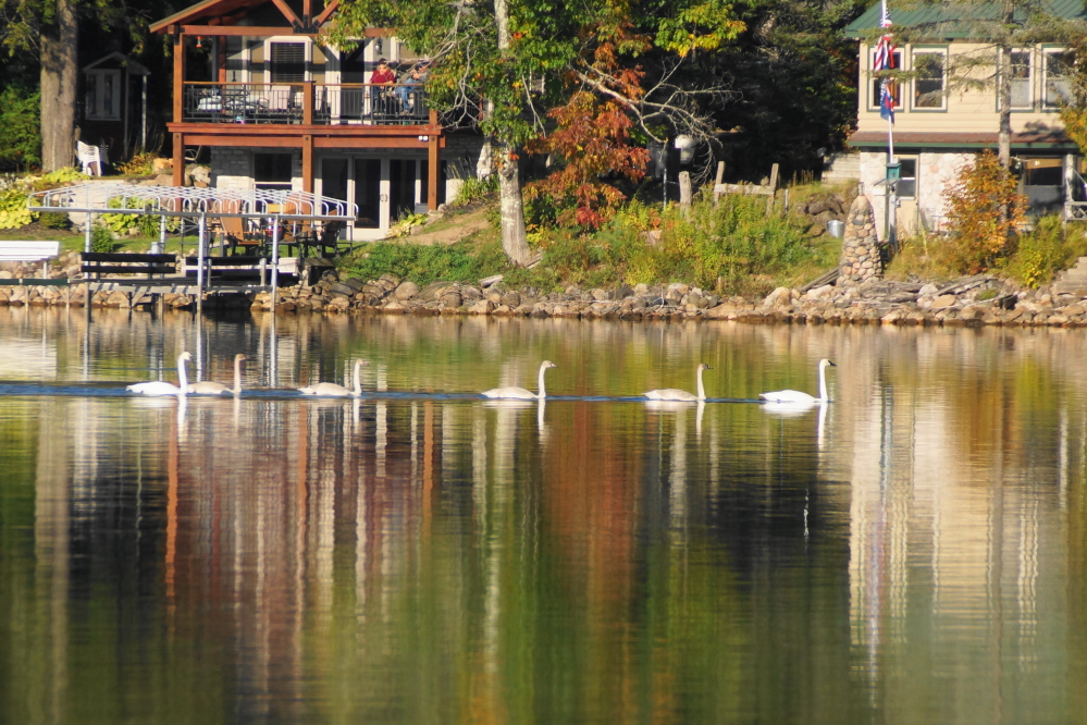 Lake Lucerne