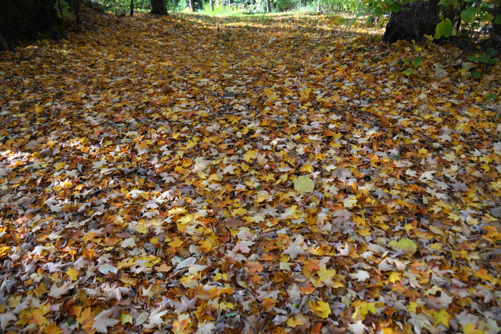Lake Lucerne