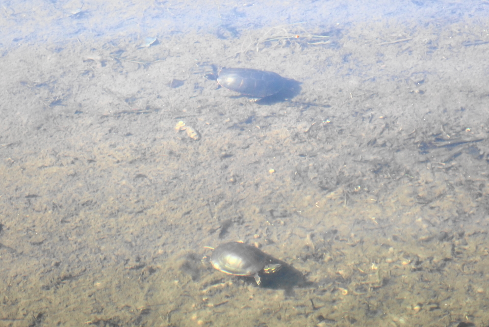 Lake Lucerne